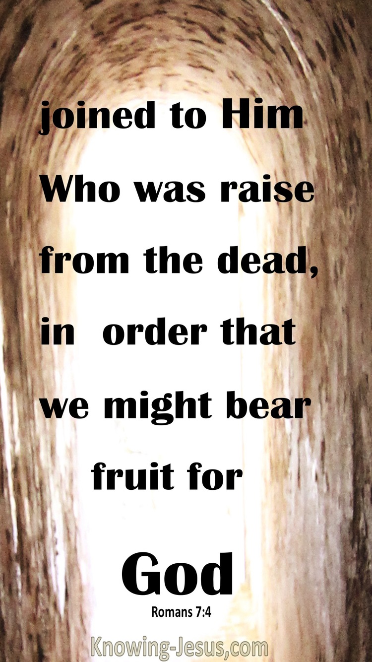 Romans 7:4 Dead To The Law (beige)